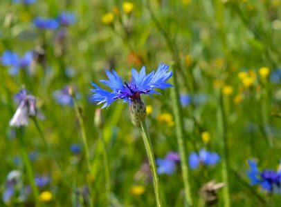 Weilmünster, Hessen, Mantel-GmbH